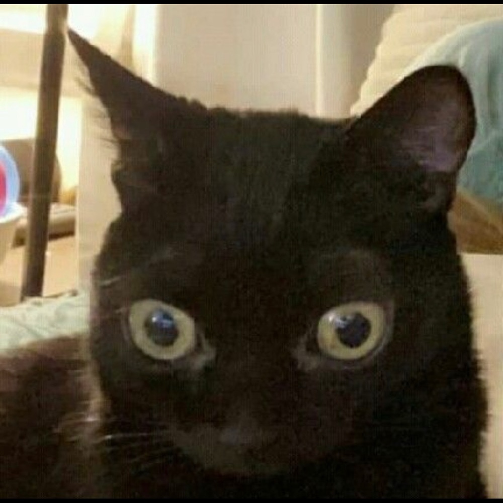 Meet your Posher, Name of